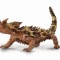 Figurina soparla spinoasa l collecta