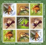 BELARUS 2007, Fauna, serie neuzata, MNH, Nestampilat