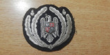 M3 C16 - Emblema militara - anii 1990 - politie