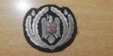 QW14 - Emblema militara - anii 1990 - politie - piesa de colectie