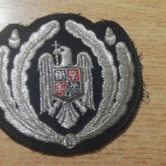 M3 C16 - Emblema militara - anii 1990 - politie