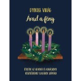 &Aacute;rad a f&eacute;ny - &Ouml;tletek az adventi &eacute;s kar&aacute;csonyi k&eacute;sz&uuml;lőd&eacute;shez csal&aacute;dok sz&aacute;m&aacute;ra - Dyekiss Vir&aacute;g
