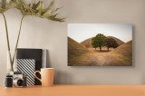 Tablou Canvas, "&Icirc;ntre tăcerea dealurilor toamnei", Apus, Dealuri, Copaci, Cărare, Peisaj, Serenitate, Natură, Orizont, Culori, Tihnă, 39 x 26 cm, CMCL