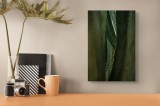 Tablou Canvas, "Spinii cactușilor &icirc;n lumina dimineții", Verde, Textură, Natură, Spineți, Mistic, Vegetație, Ad&acirc;ncime, Tăcere, Organic, Viu, 26 x 39 cm