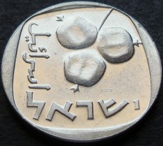 Moneda 5 AGORA / AGOROT - ISRAEL, anul 1977 * cod 3131 B = excelenta foto