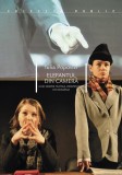 Elefantul din cameră - Paperback brosat - Iulia Popovici - Idea Design