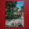 CARTE POSTALA - ARAD