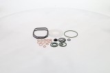 Set garnituri, pompa injectie