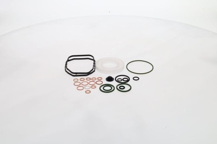 Set garnituri, pompa injectie