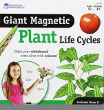 Ciclul vietii plantei - set magnetic PlayLearn Toys, Learning Resources