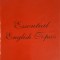 ESSENTIAL ENGLISH TOPICS-DOINA CMECIU, ELENA BONTA-255561