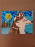 TABLOU PE PANZA CU SASIU NOU 30X40 CM CAINE HUSKY ACRILIC PRET 50 LEI NEGOCIABIL PICTOR FLORIAN