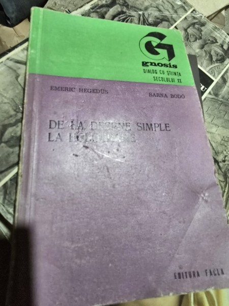 Emeric Hegedus De la desene simple la holografie