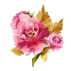 Sticker decorativ Bujor, Roz, 70 cm, 7757ST foto