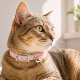 Zgardă pentru pisici, roz reflectorizantă, cu clopoțel și clips de siguranță, ajustabilă 23-28 cm, CMCLASS