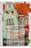 Puzzle banatic. Printre prozatori - Adrian Dinu Rachieru