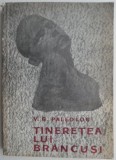 Tineretea lui Brancusi - V. G. Paleolog, carte de beletristica (stare buna, putin uzata)
