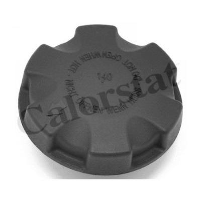 Calorstat by Vernet buson, vas expansiune foto