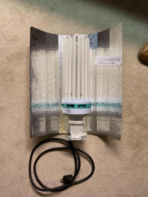 Lampa pentru rasaduri cu refelector Elektrox - 250W 6500K foto