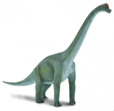 Figurina Brachiosaurus Collecta foto