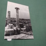Cumpara ieftin CARTE POSTALA NECIRCULATA RUINELE CETATII HISTRIA