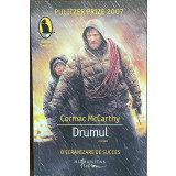 DRUMUL de CORMAC McCARTHY , 2009