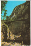 CPIB 16059 CARTE POSTALA - CHEILE OLTETULUI, RPR