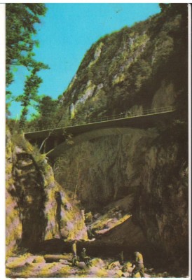 CPIB 16059 CARTE POSTALA - CHEILE OLTETULUI, RPR foto