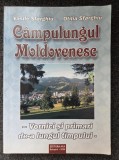 CAMPULUNG MOLDOVENESC. Vornici si primari - Sfarghiu