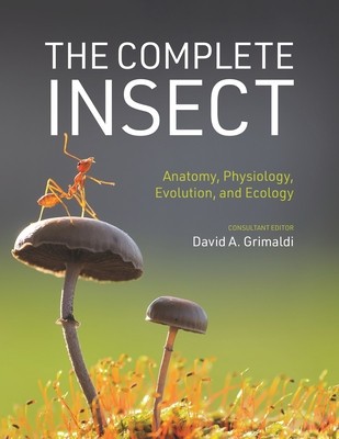 The Complete Insect: Anatomy, Physiology, Evolution, and Ecology foto