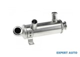 Radiator recirculare gaze Ford Fiesta 5 (2001-&gt;) [JH_, JD_,MK6] #1