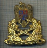 Y 1554 INSIGNA-MILITARA-EMBLEMA COIFURA- TRUPELE DE USCAT -PENTRU COLECTIONARI