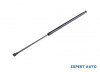 Telescop hayon Citroen C6 (2005-&gt;) [TD_] #1