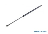 Telescop portbagaj Citroen C6 (2005-&gt;) [TD_] #1