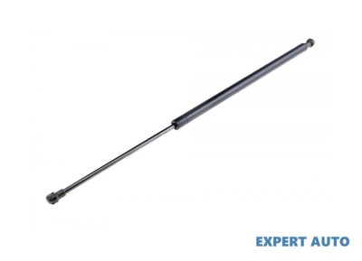 Telescop hayon Citroen C6 (2005-&amp;gt;) [TD_] #1 foto