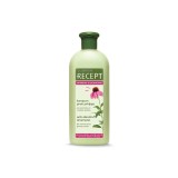 Subrina Professional Recept Intensive Balancing Sampon Anti-matreata Par Gras 400ml