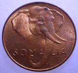 J.323 SOMALIA ITALIA ELEFANT 1 CENTESIMO 1950 AUNC, Africa, Bronz