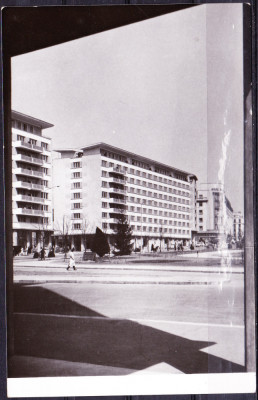 AMS - ILUSTRATA 1041 CONSTRUCTII NOI IN PIATA PALATULUI R.P.R., NECIRCULATA foto