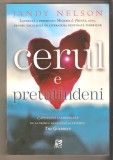 Jandy Nelson-Cerul e pretutindeni