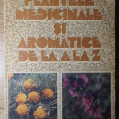 PLANTELE MEDICINALE SI AROMATICE DE LA A LA Z-OVIDIU BOJOR, MIRCEA ALEXAN