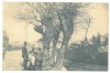 3651 - ORSOVA, harbor, ship, Romania - old postcard - unused, Necirculata, Printata