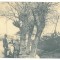3651 - ORSOVA, harbor, ship, Romania - old postcard - unused