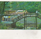Bnk cp Sovata - Lacul Alunis - necirculata, Printata