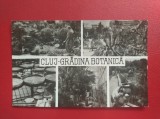 CARTE POSTALA - RPR - CLUJ - GRADINA BOTANICA