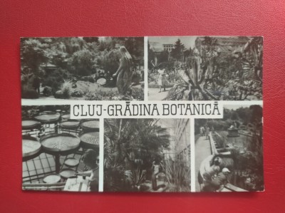 CARTE POSTALA - RPR - CLUJ - GRADINA BOTANICA foto