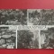 CARTE POSTALA - RPR - CLUJ - GRADINA BOTANICA