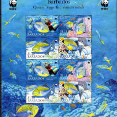 BARBADOS 2006, FAUNA - WWF, serie neuzata, MNH