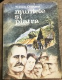 LITR14 0442 Literatura - Traian Olteanu - Muntele si piatra