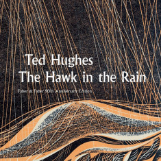 The Hawk in the Rain | Ted Hughes