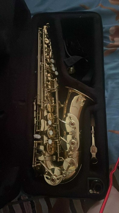 V&acirc;nd urgent saxofon Demavery